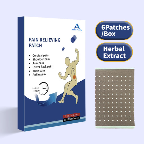 PAIN RELIEVING  PATCH