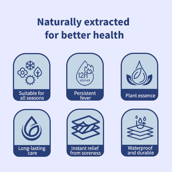 PAIN RELIEVING PATCH - 图片 4