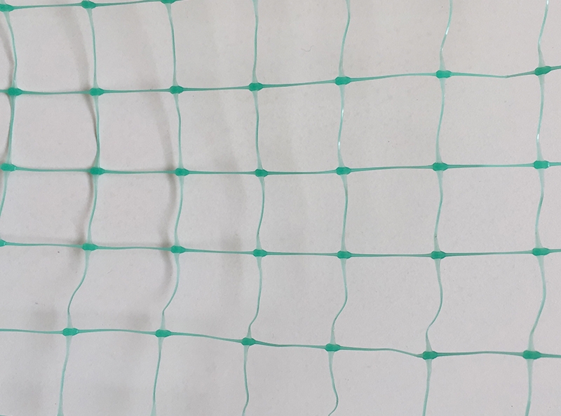 Anti-Bird Net - Image 2